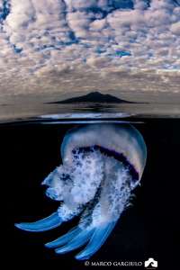 Jellyfish under the Vesuvius by Marco Gargiulo 